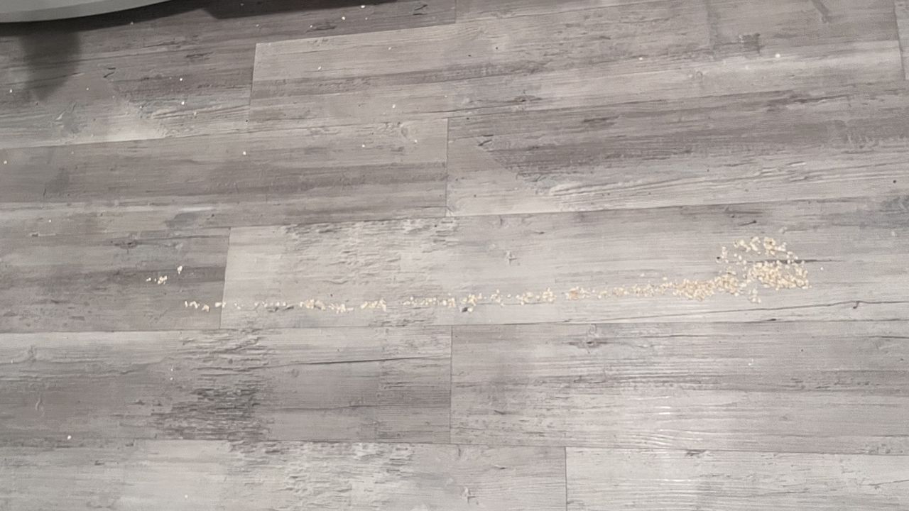 Trail of oats left behind by the DEEBOT X2 OMNI robot vacuum cleaner
