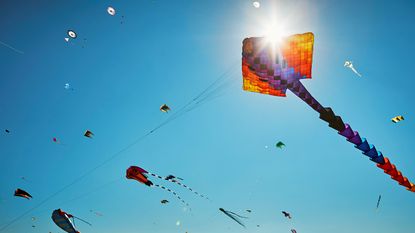 Kites in the sky