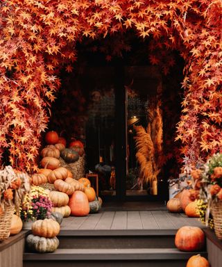 A pile of orange pumpkins lies on the wooden floor.