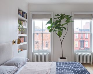 A small bedroom with a tall plant