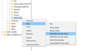 A screenshot showing the DWORD (32-bit) option for the LabConfig key.