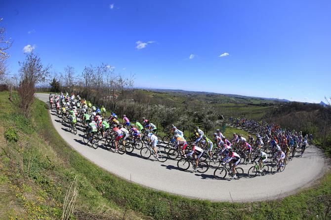 The peloton