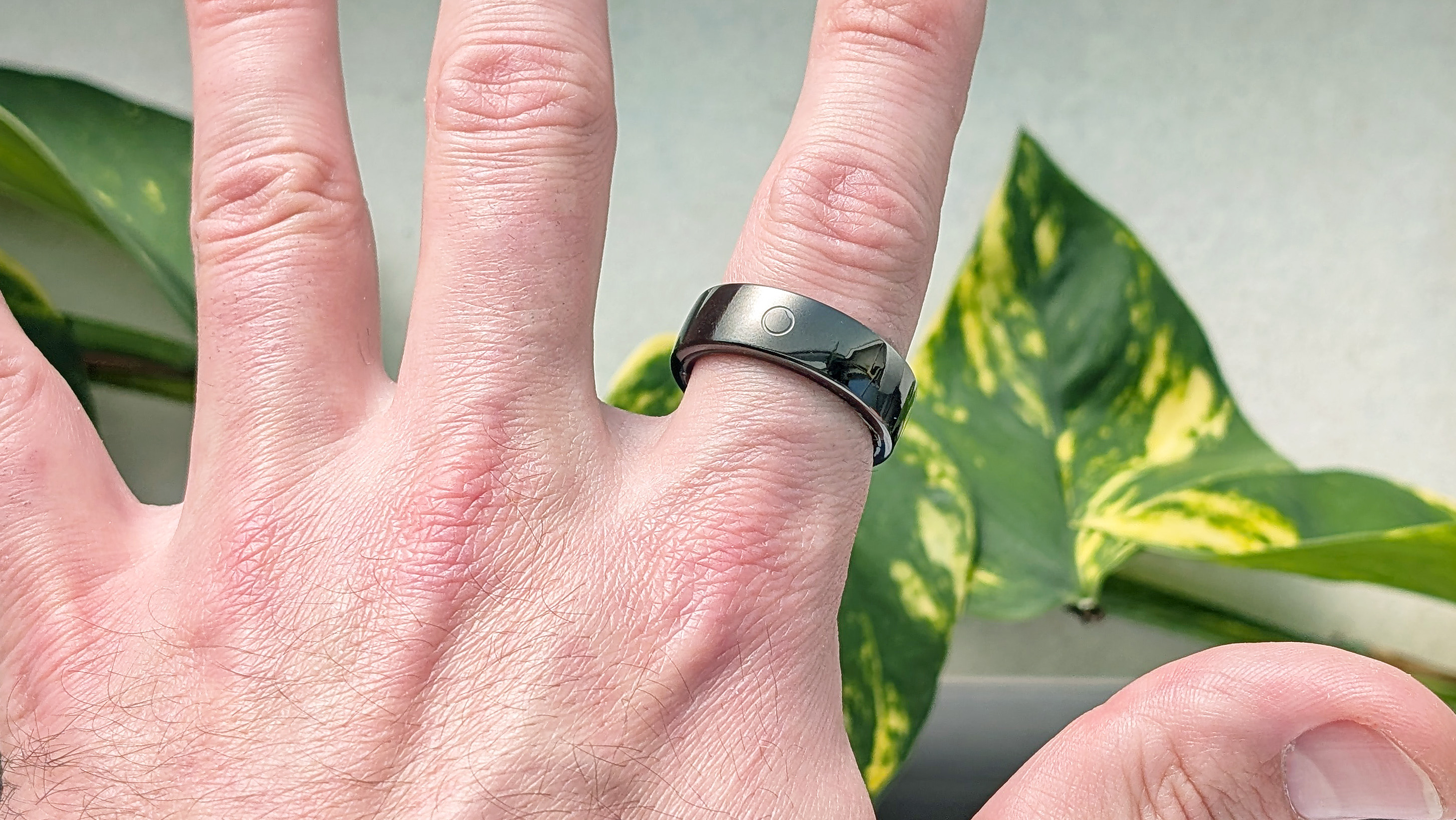 Close-up of the Circular Ring 2