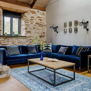 tv room with blue sofa cushion and rug