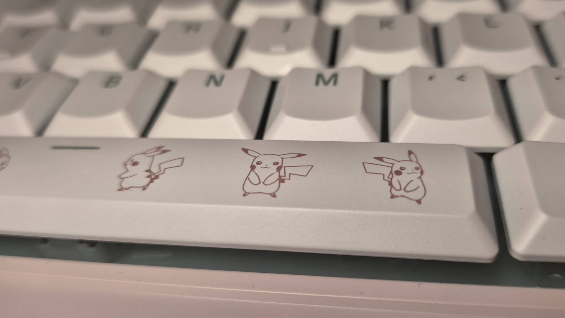 Photo of Razer's Pikachu &amp;amp; Eevee Collection.