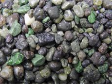 Kimberlite magma mineral grains