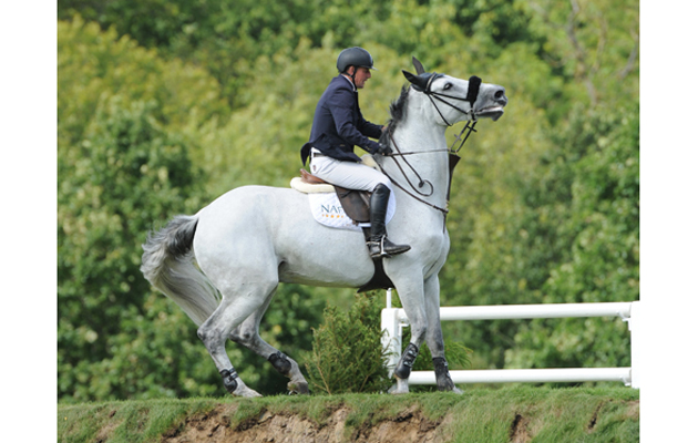 Hickstead Derby 2012