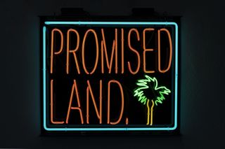Patrick Martinez neon artwork with the words 'Promised Land' and a palm tree