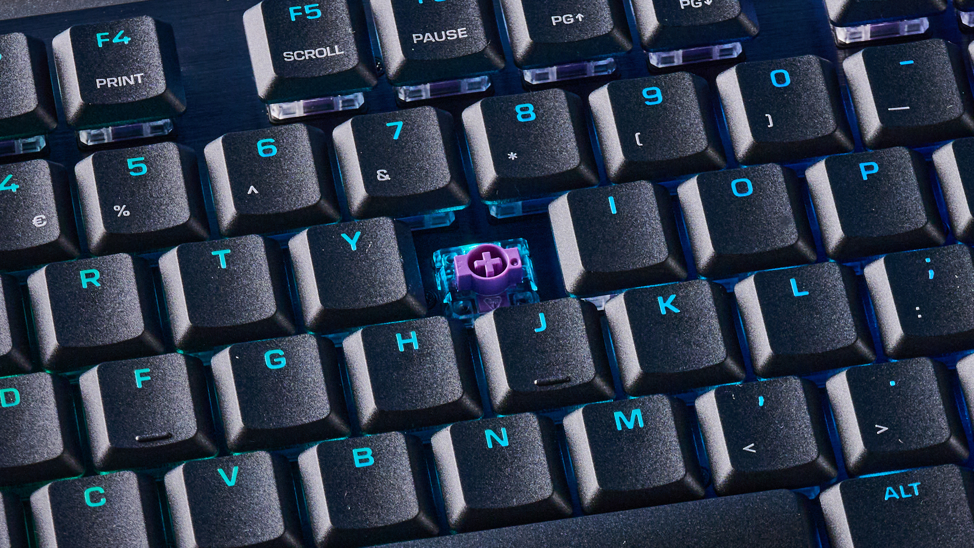 A Turtle Beach Command Series KB7 TKL Hall Effect keyboard