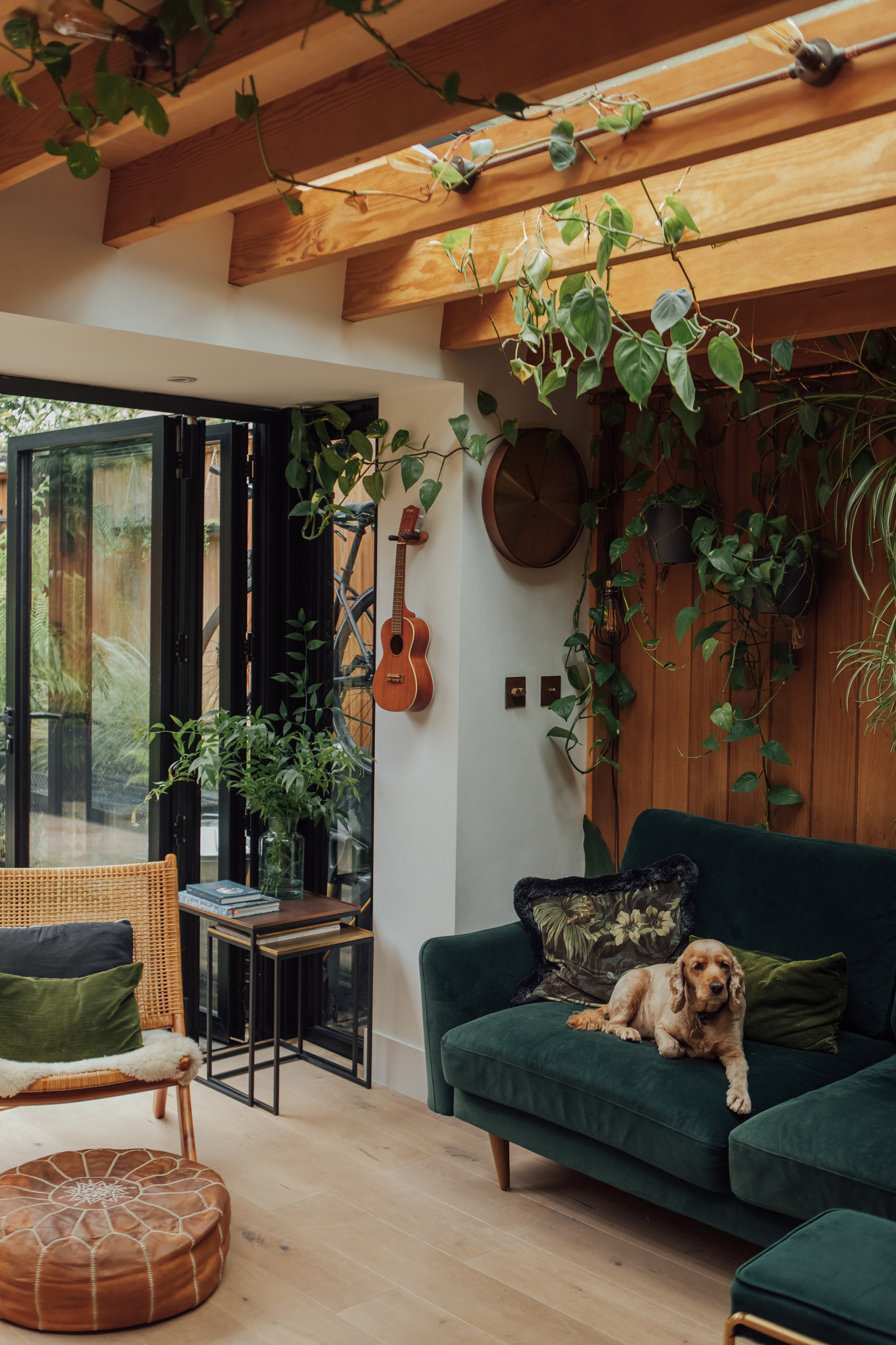 View of a living space with a beamed ceiling and skylights above, hanging plants all around and a teal sofa along the far wall. The bifold doors to the left lead into the garden space and a dog sits on the sofa.