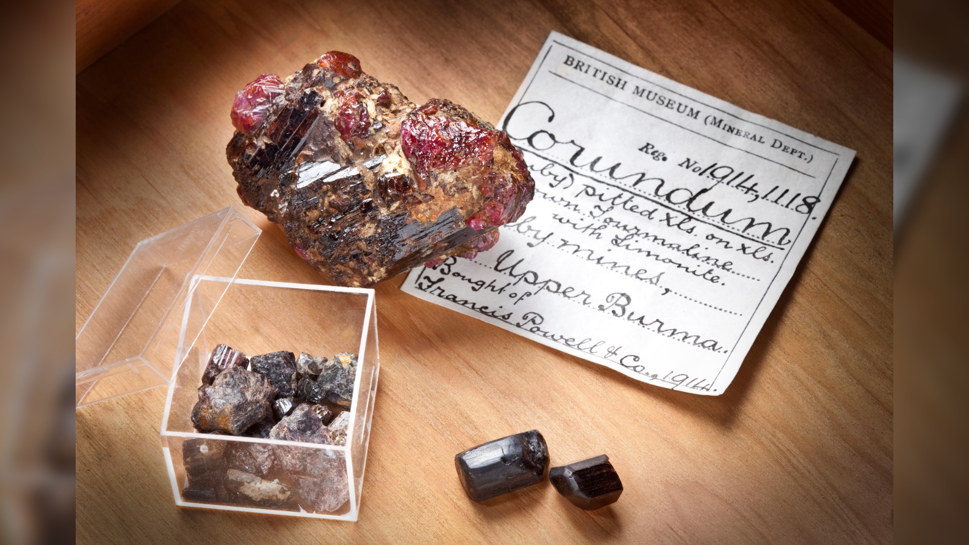 Here we see corundum (red) in a painite crystal specimen from Myanmar.