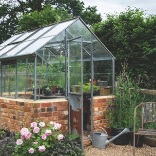 Rose plant and metal watering can outside glass and brick greenhouse