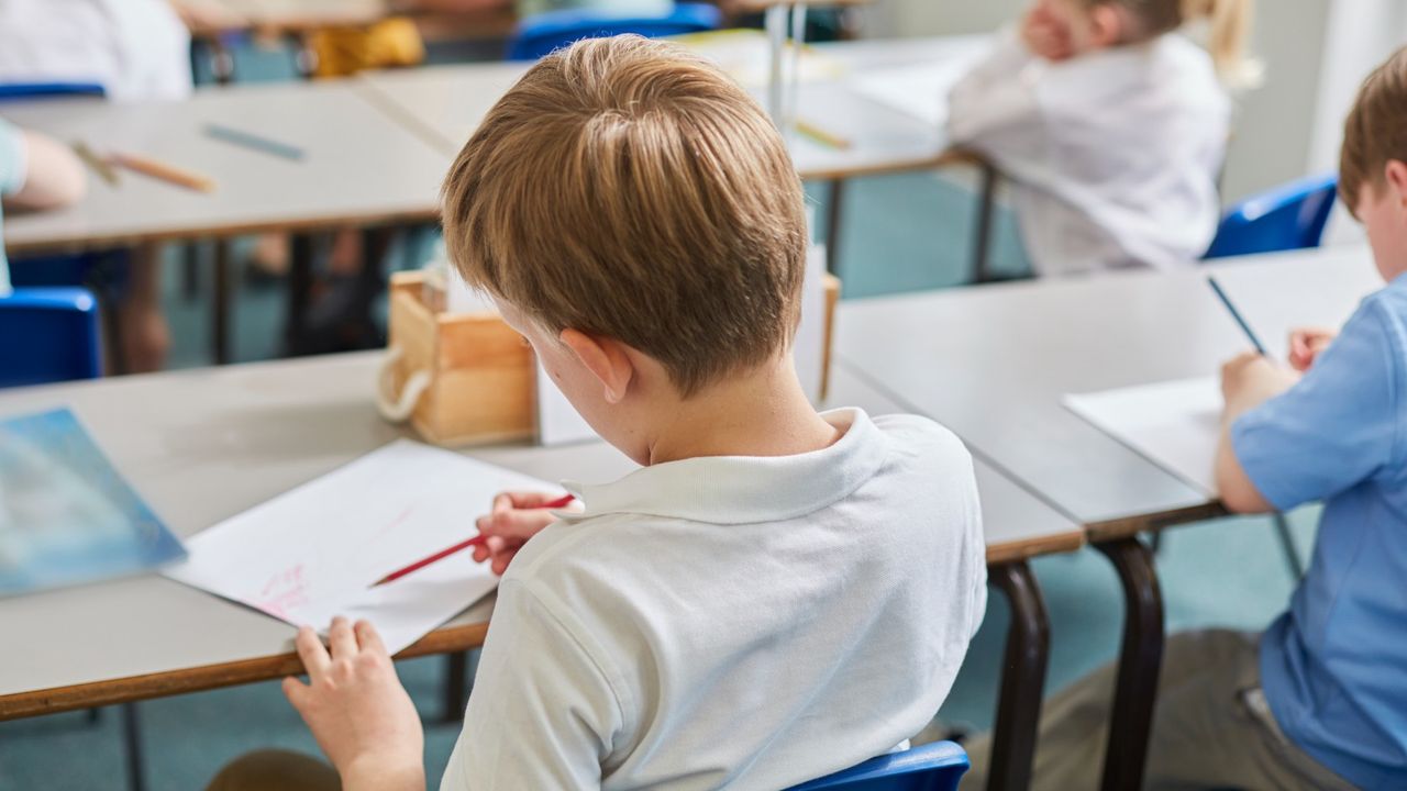 Schoolboy in classroom from behind