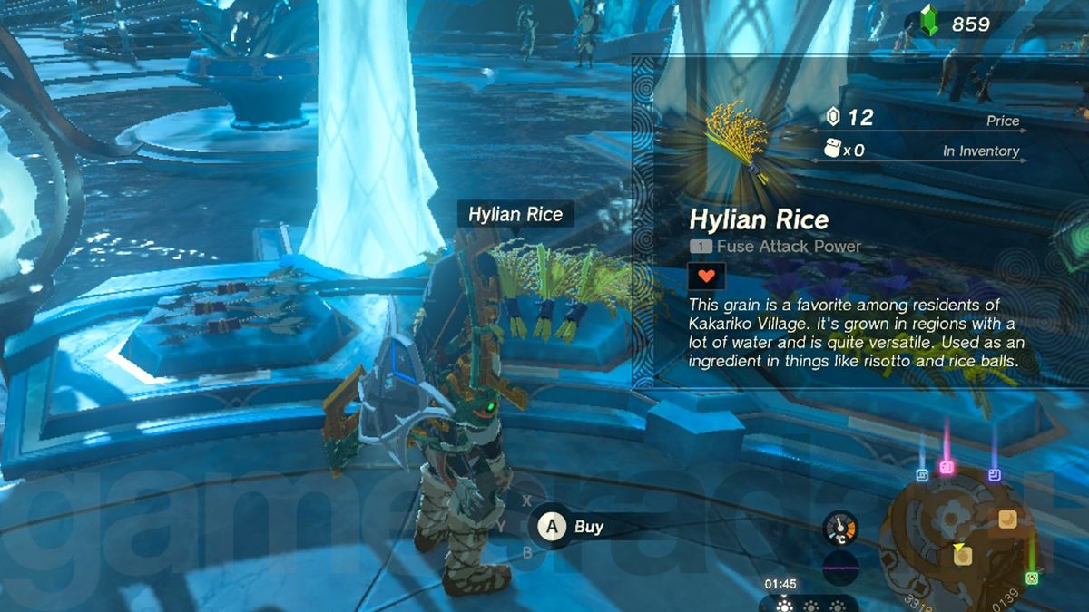 Zelda Tears of the Kingdom hylian rice for sale in Zora&#039;s domain 