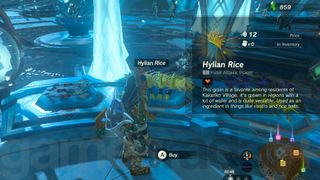 Zelda Tears of the Kingdom hylian rice for sale in Zora's domain 