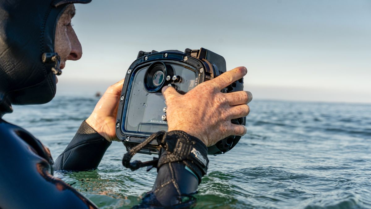 Hasselblad Aquatech REFLEX X1D II 50C