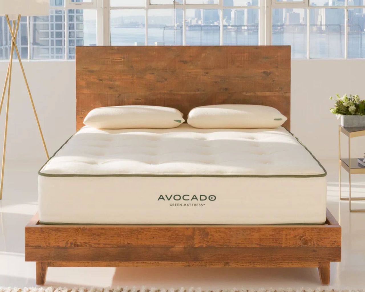 Avocado Green Mattress on a wooden bedframe with large bright windows behind. To the left is a free-standing lamp with a white shade, and to the right is a gold bedside table with a houseplant on it.