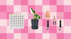 Hilton Carter Target line collection including a white and black checkered pot, a philodendron, and gardening tools on a pink checkered background