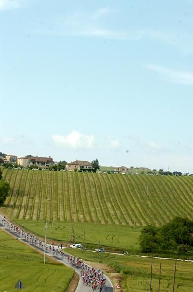 The peloton on its way to Porto Recanti
