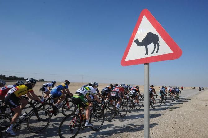 Yes, camels cross here.