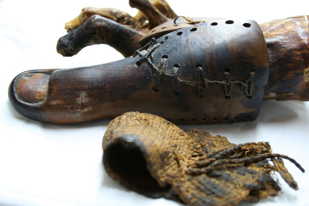 False mummy toe, Cairo