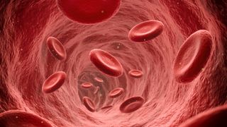 An illustration render of an endoscopic view of flowing red blood cells (red, disc-shaped) in a vein.