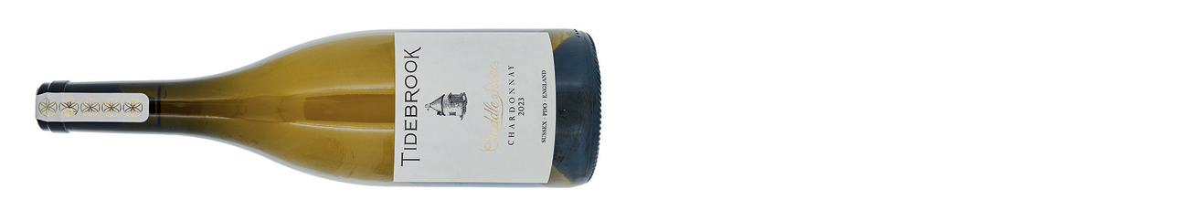 DWWA 2026 winner