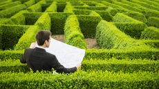 A man consults a map while looking across a maze made with green hedges.