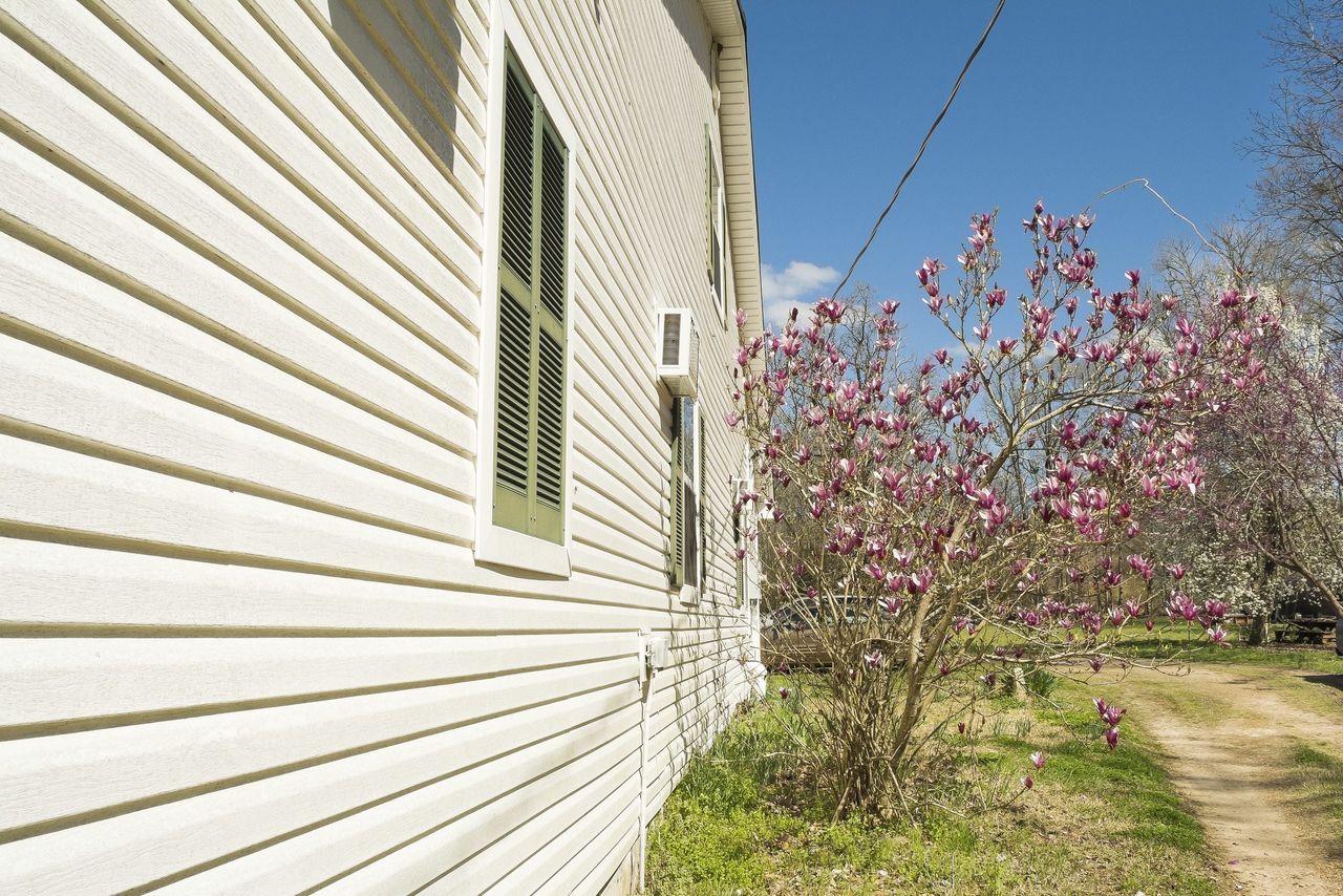 Tree Along House