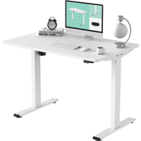 Flexispot Electric Standing Desk (48 x 30 inch) | $299.99