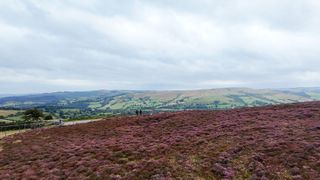 A photo of purple heather fields in the Peak District, UK, taken with a DJI Neo camera drone on a windy day