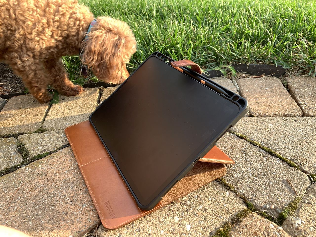 Burkley Prescott Folio iPad Case