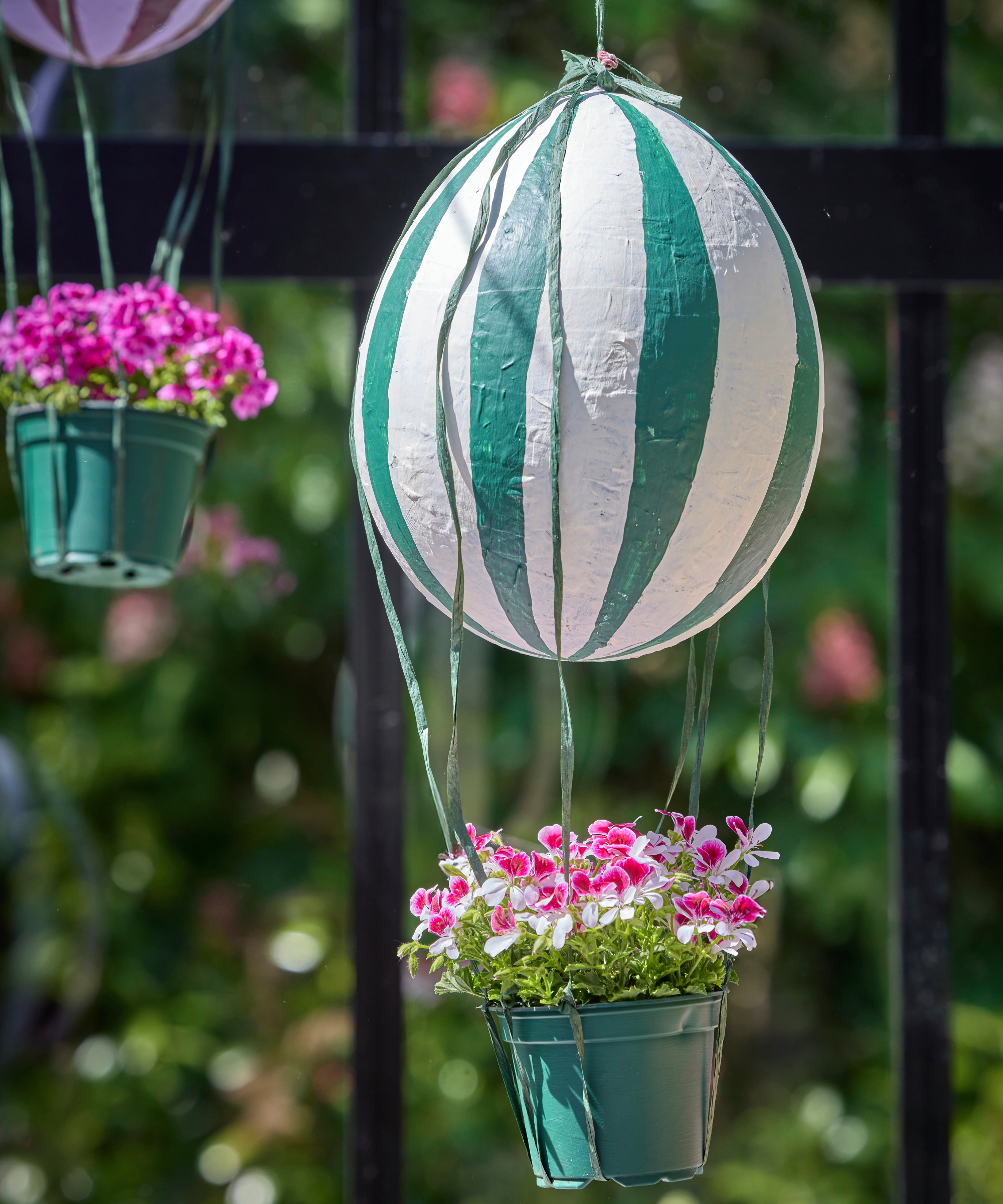 Creative planter made from a balloon, papier mache and pelargoniums, to look like a hot air balloon
