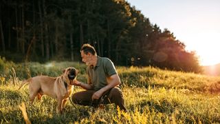 Dog and owner spending time together in a sunny field