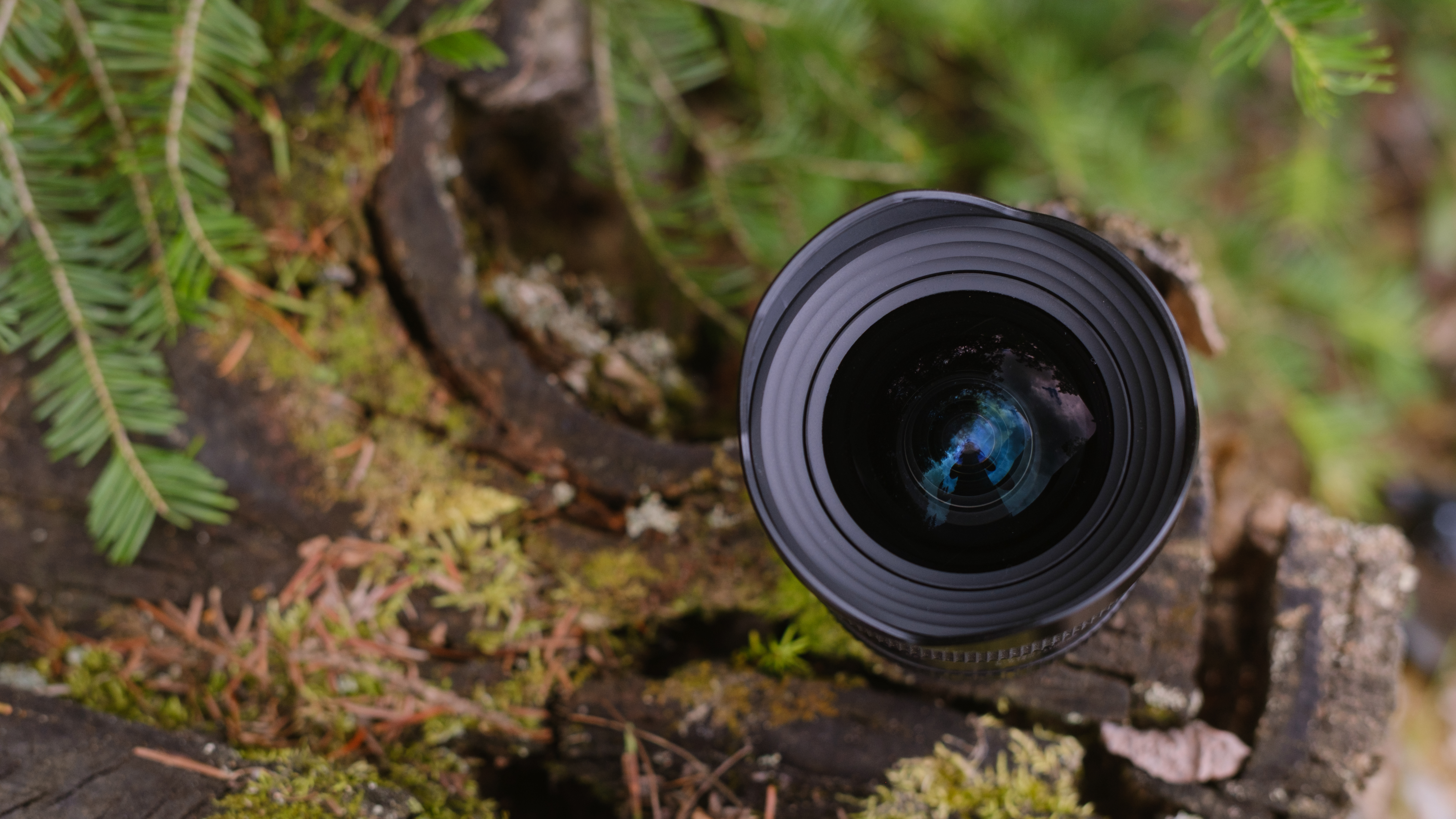 The Tamron 12-20mm f/2.8 photographed outdoors