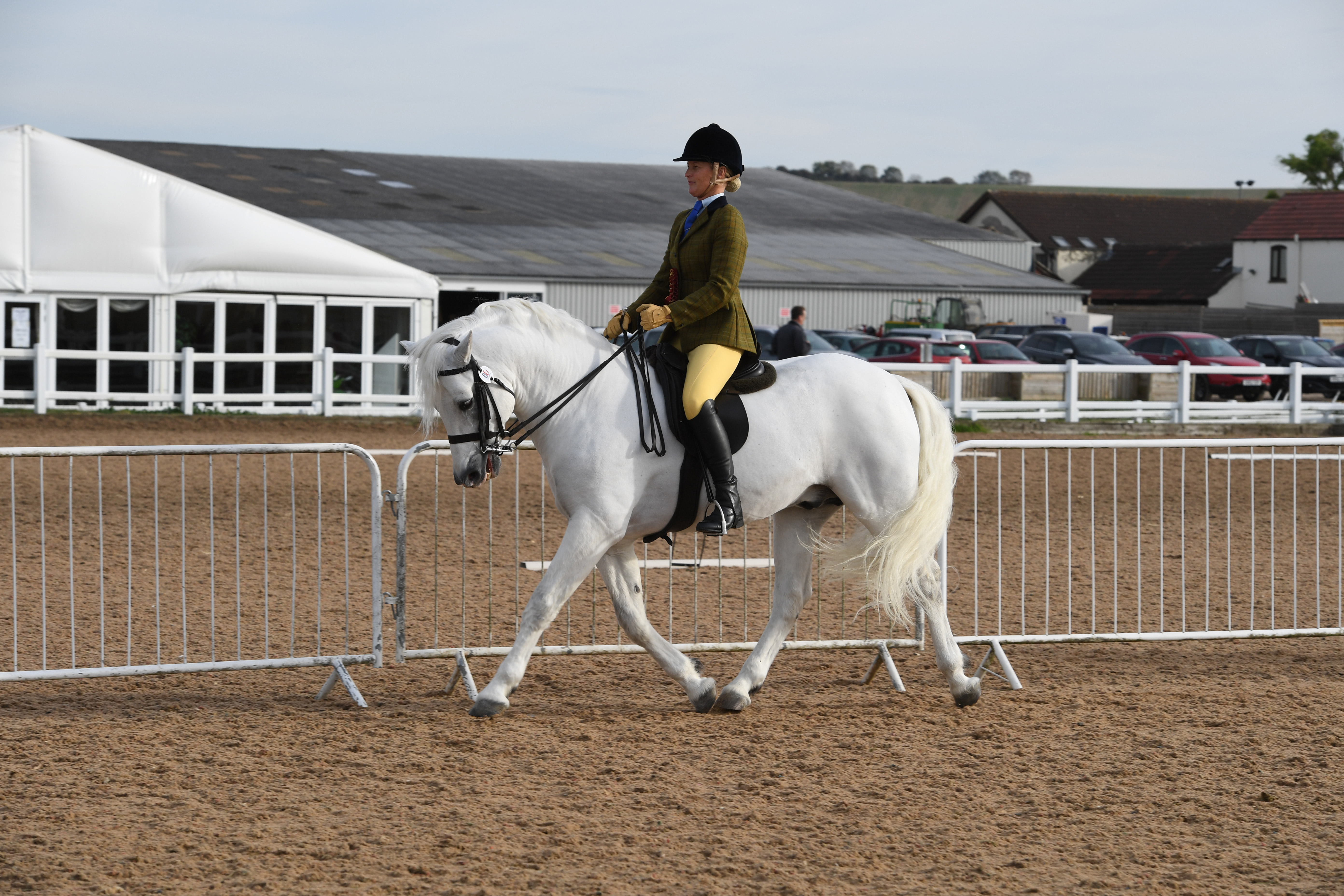 Heritage-Show-13.10.1896308_240259451_343813422.jpg