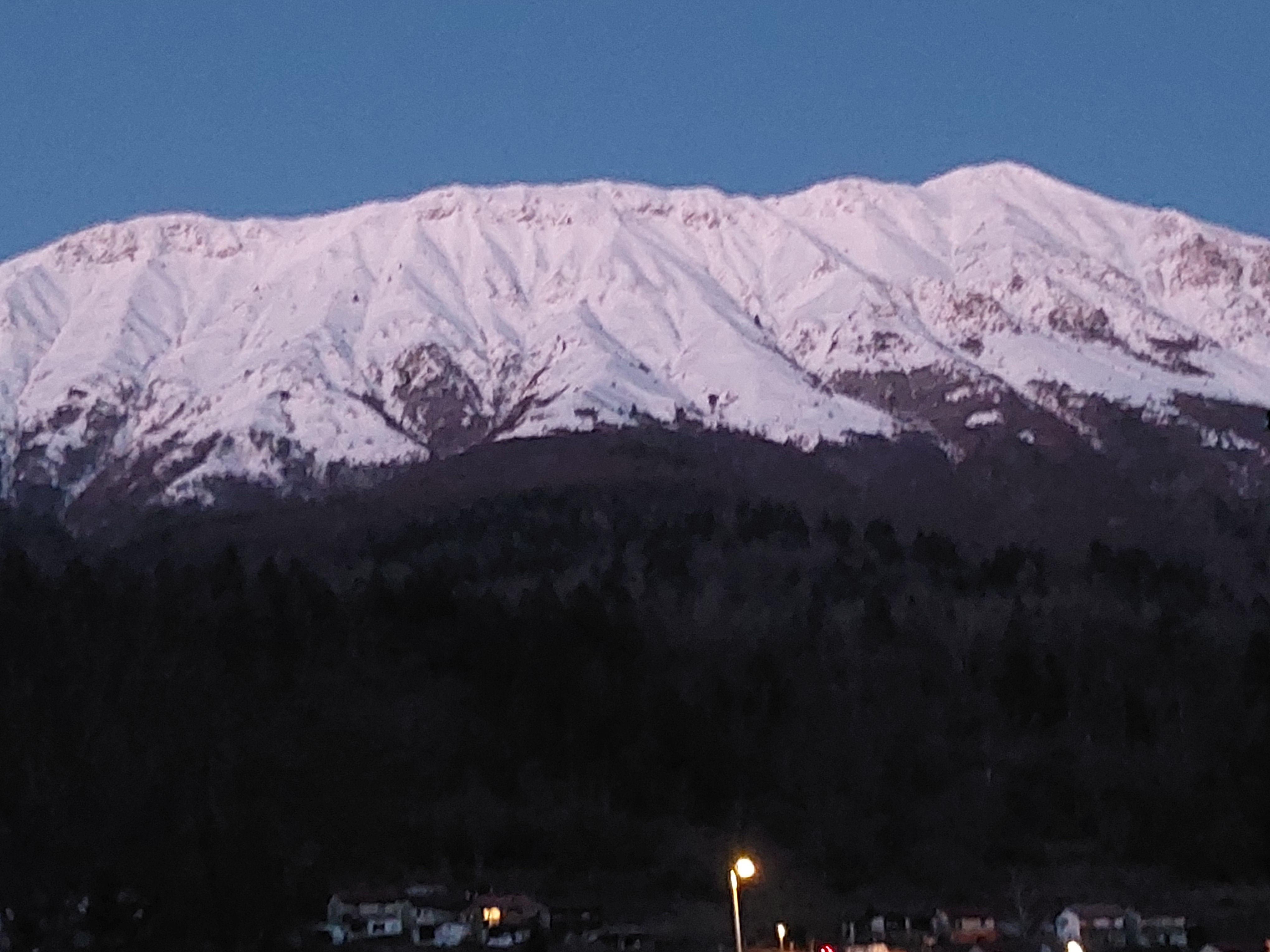 GuruShots - February 2026