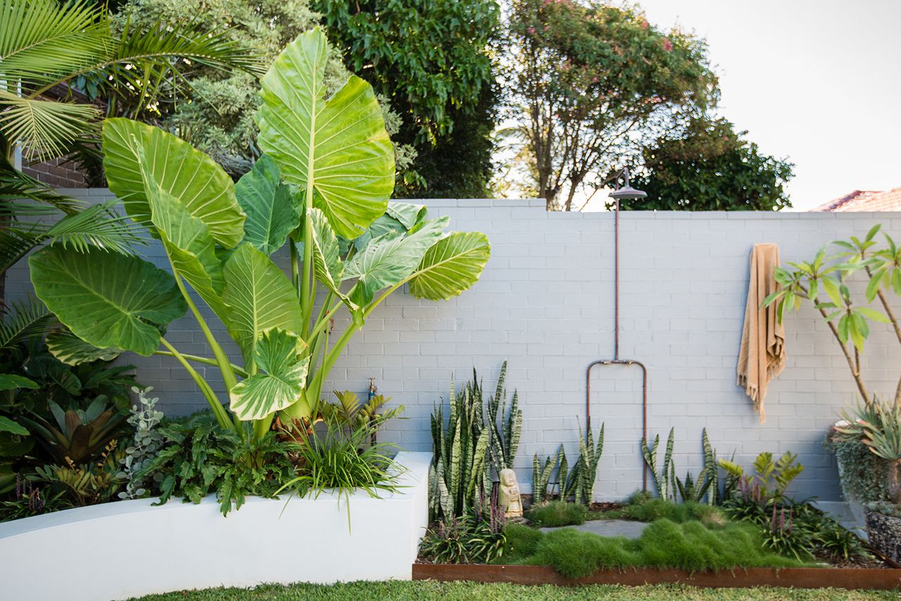 tropical garden ideas with an outdoor shower against a white wall