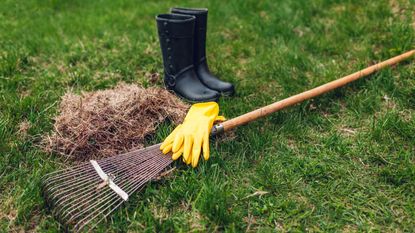 A rake, wellington boots, and yellow gardening gloves on some green grass beside some dug up thatch