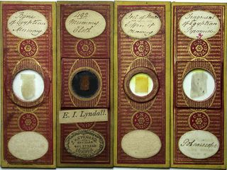 Microscope slide containing specimens associated with mummies. Microscopes were a popular form of entertainment for science-obsessed people living in Victorian-era Britain.