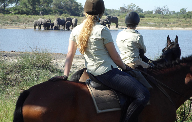 NEW BOTSWANA ROSE AND DIANA BY ELIES
