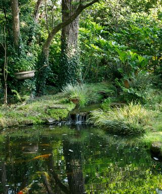garden pond surrounded by planting and stone urns filled with ferns in garden of paolo moschino and philip Vergeylen