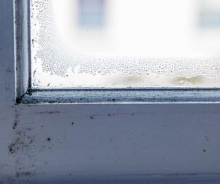 wooden single glazed window with condensation on pane and mould