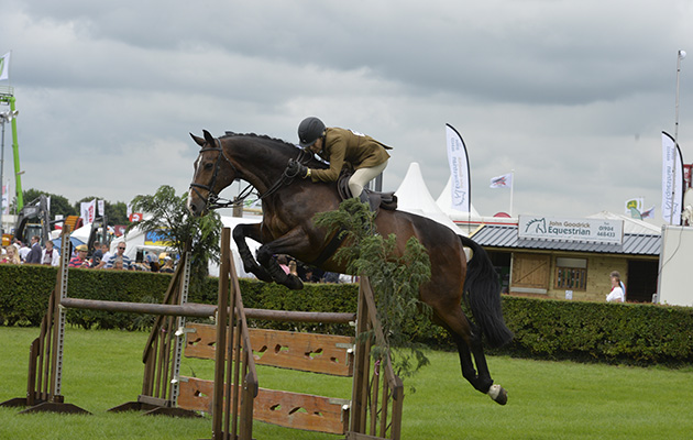 Lincs. Show 22.06.16 Open W/Hunter Winner No.224