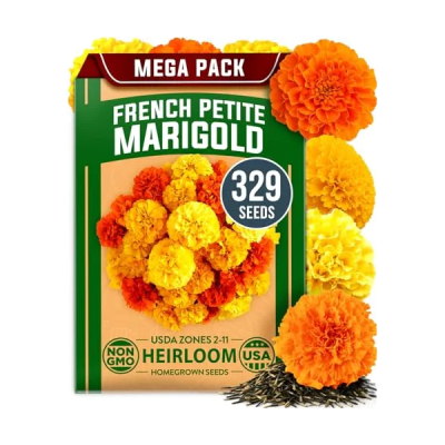 Petite French Marigold Seeds 
