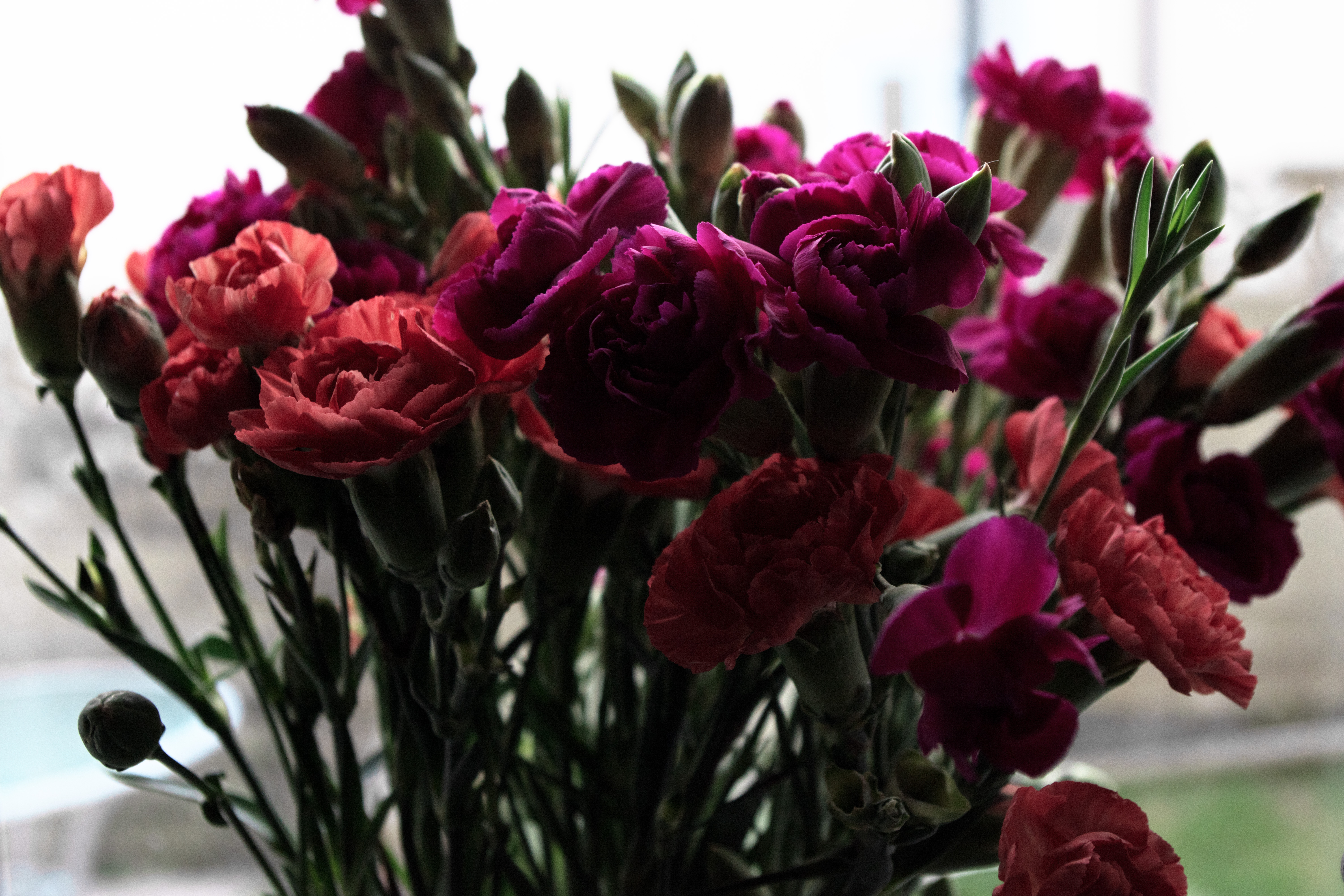 Dynamic range testing with flowers on Pentax KF