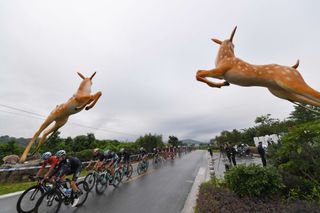 GUILIN, CHINA - OCTOBER 20: Gianni Moscon of Italy and Team Sky Red Leader Jersey / Peloton / Landscape / Deer sculpture / during the 2nd Tour Of Guangxi 2018, Stage 5 a a 212,2km stage from Liuzhou to Guilin / Gree - Tour of Guangxi / TOG / on October 20, 2018 in Guilin, China. (Photo by Tim de Waele/Getty Images)