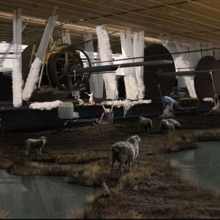 A photo of sheep walking around next to the huge loom that is combing the wool from them.