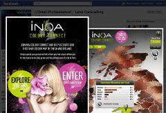 hair colour, hair, INOA, L&#039;Oreal Professionnel