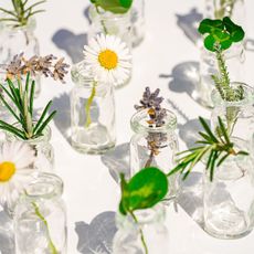 a close up of small clear bottles with flowers and herbs inside them - natural beauty